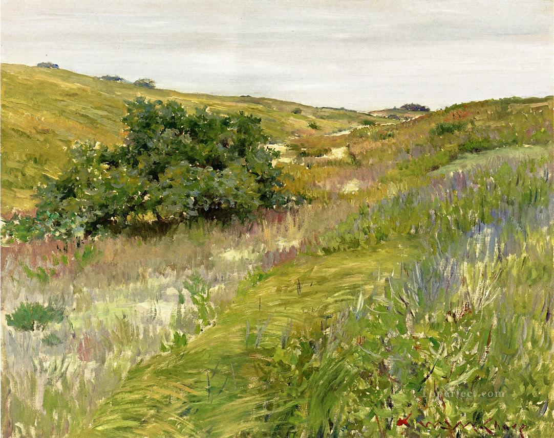Landscape Shinnecock Hills William Merritt Chase Oil Paintings